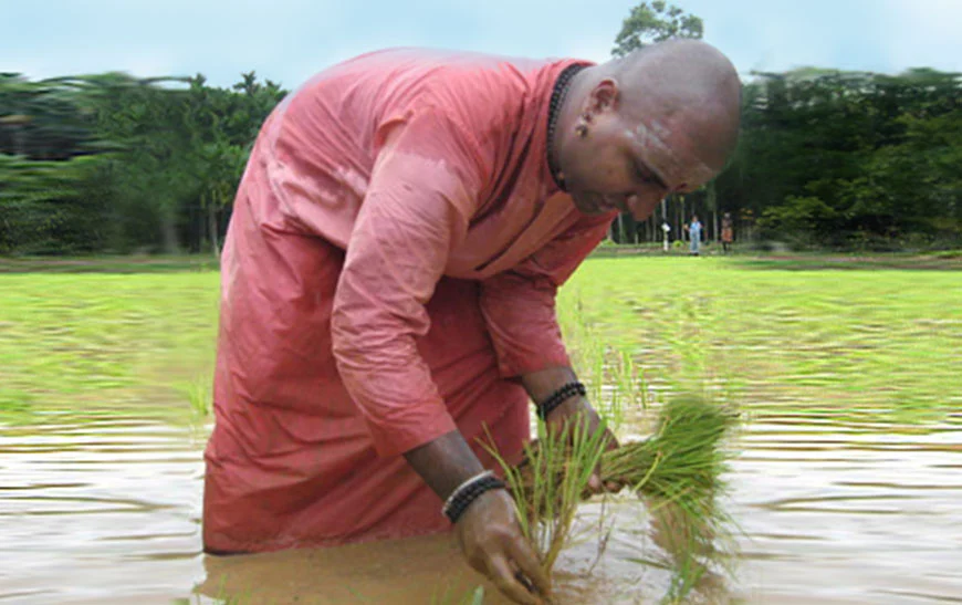 anna-dhaamam